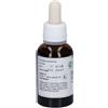 Lemuria BETULLA ESTRATTO TOTALE 30ML