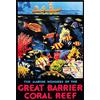 Schatzmix Blechschild Great Barrier Coral Reef Metallschild 20x30 cm Wanddeko Tin Sign Targa di Metallo da Parete, Lamiera, Multicolore