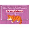 Schatzmix Blechschild Spruch Katze verschönert jeden Raum Metallschild 20x30 Deko Targa di Metallo da Parete, Lamiera, Multicolore, 20x30 cm