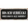 Schatzmix Blechschild Spruch ICH verrückt Oder alle Anderen Metallschild 27x10 cm Deko Tin Sign Targa di Metallo da Parete, Lamiera, Multicolore