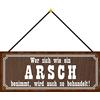 Schatzmix Blechschild Wer Sich Wie Ein Arsch benimmt… Metallschild 27x10cm Sign mit Kordel Targa di Metallo da Parete, Lamiera, Multicolore, 20x30 cm