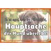 Schatzmix Blechschild Spruch Hauptsache der Hund überlebt Metallschild 20x30 Deko Targa di Metallo da Parete, Lamiera, Multicolore, 20x30 cm