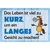 Schatzmix Blechschild Spruch Das Leben Ist viel zu Kurz Metallschild 20x30 Deko Tin Sign Targa di Metallo da Parete, Lamiera, Multicolore, 20x30 cm