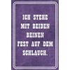 Schatzmix Blechschild Spruch ICH stehe Auf Dem Schlauch Metallschild 20x30 Deko Tin Sign Targa di Metallo da Parete, Lamiera, Multicolore, 20x30 cm