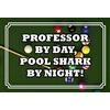 Schatzmix Blechschild Professor Day, Pool Shark by Night Metallschild 20x30 Tin Sign Targa di Metallo da Parete, Lamiera, Multicolore, 20x30 cm