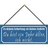 Schatzmix Blechschild Geburtstag Gedicht Metallschild 27x10cm Wanddeko Tin Sign mit Kordel Targa di Metallo da Parete, Lamiera, Multicolore, 27x10 cm