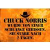 Schatzmix Blechschild Spruch Chuck Norris Schlange gebissen Metallschild 20x30 Tin Sign Targa di Metallo da Parete, Lamiera, Multicolore, 20x30 cm