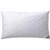 Billerbeck Cuscino in piuma Martina - Cuscino 40 x 80 cm - Cuscino con forte forza di sostegno - Piume d'oca 15% e 85%