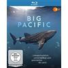 OneGate Media GmbH Big Pacific (4 Episoden plus Making of)