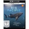 OneGate Media GmbH Big Pacific (4 Episoden plus Making of) [4K Ultra-HD-Blu-ay] [Blu-ray]