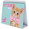 Grupo Erik Calendario da Tavolo 2022 Studio Pets Cats - Calendario da scrivania 2022 - Calendario gatti 2022 │ Calendario animali - Calendario tavolo 2022 - Calendario annuale, Multicolore
