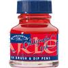 Winsor & Newton WN INCHIOSTRO PER CALLIGRAFIA 30ML SCARLATTO