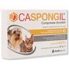 Shedir Pharma Caspongil 30cpr Divisibili