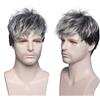 MEIRIYFA Parrucca da uomo Corta dritto Parrucche con frangia per maschio Quotidiano Costume Cosplay Partito (Argento)