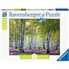 Ravensburger - Puzzle Bosco di Betulle, Collezione Nature Edition, 1000 Pezzi, Idea regalo, per Lei o Lui, Puzzle Adulti