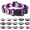 Suredoo Collare per Cani, Nylon Morbido Regolabile Collari per Cani, Gatti, Cuccioli di Taglia Piccola Media Grande (M, Freccia)