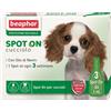 beaphar CaniComfort Spot-On Calmante per cani in super offerta su zooplus