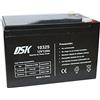 DSK Batteria al piombo 12V 12Ah, ideale per allarmi domestici, giocattoli elettrici, recinzioni, bilance, nera 10325
