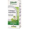 BOIRON SRL Crataegus Oxy Estratti Di Piante Boiron Macerato Glicerico 60 Ml