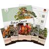 HAPPY SEED Semi di bonsai eccezionali con un alto tasso di germinazione - Set di semi di piante per il tuo albero bonsai (Set di 5 Pezzi, incluso eBook 0)