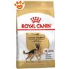 Royal Canin Dog Adult German Shepherd (Pastore Tedesco) - Sacco Da 11 Kg