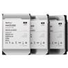 Synology Hard Disk 3,5 12TB Synology HAS5300-12T NAS SAS [HAS5300-12T]