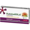 Schwabe pharma italia Kalobagola 20 compresse fragola