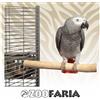 Zoofaria Posatoio Singolo Corto in legno duro per uccelli