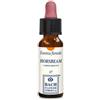 ERBA VITA GROUP SpA Hornbeam Essenza Floreale Erba Vita 10ml