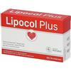 Lipocol - Lipocol Plus 30 Compresse