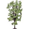 Hornby Ippocastano albero