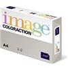Steinbeis Coloraction 838A 160S 30 Antalis DIN A4, 160 gr/mq- Carta per fotocopie, colore: Grigio