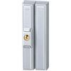 Abus Fts88 Al0125 Serratura con Blocco, Blocco per Finestre con Doppio Chiavistello Ad Incastro, Chiusura con Chiave, Livello di Sicurezza: 9, 37038, Argento