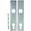 Alberts 554309 Placca per maniglie, una coppia, forgiata, zincata, verniciata a fuoco grigio argento, 155 x 30 mm