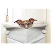 Wee Blue Coo Photo Jack Russell Toilet Reading Newspaper Picture Wall Art Print