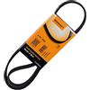 CONTITECH 6PK1050 - Cinghia Poly-V