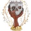 mtb more energy Calice Claw of The Ruby Dragon - Teschio nel Drago Artiglio Rosso - Decorazione Medievale Fantasy