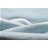 L1NK STUDIO Lenzuolo con Angoli Matrimoniale Cotone Tinta Unita per Letti 135 cm (135x200x35cm) 100% Cotone (Percalle 200 Fili) Baby Blue