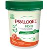 PSYLLOGEL FIBRA ARANCE ROSSE VASO 170 G