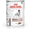 Royal Canin Hepatic 420 gr Barattolo Umido Cane