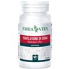 Erba Vita Isoflavoni Di Soia Integratore Menopausa 60 Capsule