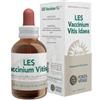 Forza Vitale LES VACCINIUM VITIS IDAEA GOCCE 50 ML