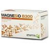 Pharmasì MAGNESIO B 300 30 BUSTINE