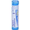 BOIRON Srl Magnesia Phosphorica 9CH Boiron Granuli 4g
