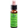 PROMOPHARMA SpA Promopharma Florit 17 Hornbeam Fiori Di Bach 10ml