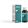 DREPAS di GIORGIA PASTORE Eucoloil Gtt 30ml