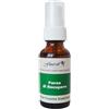 NATUR Srl Forza di Recupero Flourish Flower Essence Society Spray 30ml
