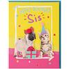 Clintons: Biglietto di compleanno per sorella con cuccioli e gattini, 11 x 15 cm