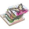 Beleduc Hape 17054 - Layer Puzzle Farfalla