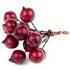 Bacche rosse